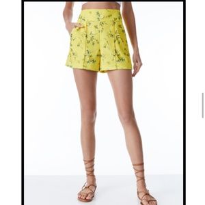 Alice and Olivia - Donald High Waisted Pintuck Shorts